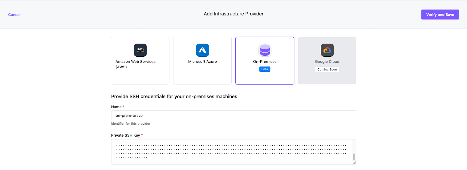 On Premise Provider Form with values