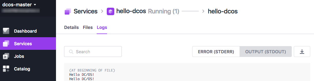 Running containerized service in the DC/OS UI