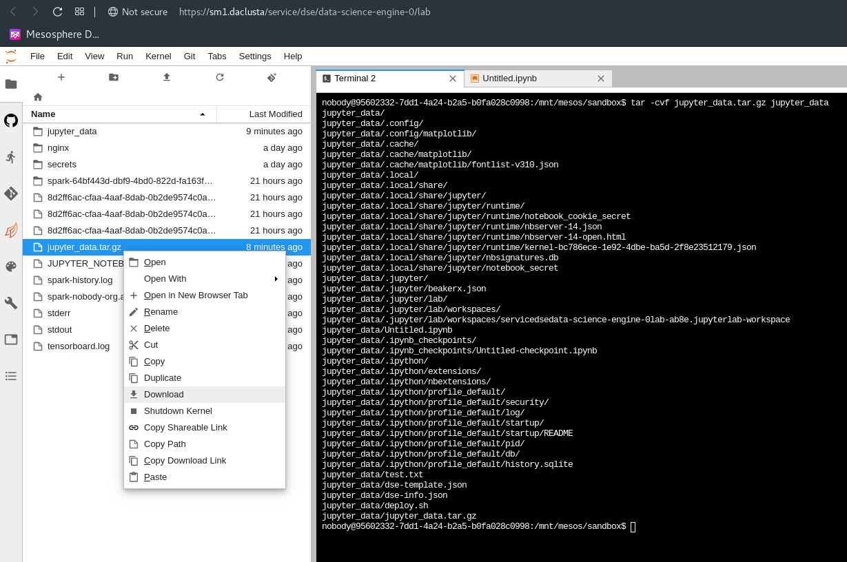 DC/OS Data Science Engine Notebook Download