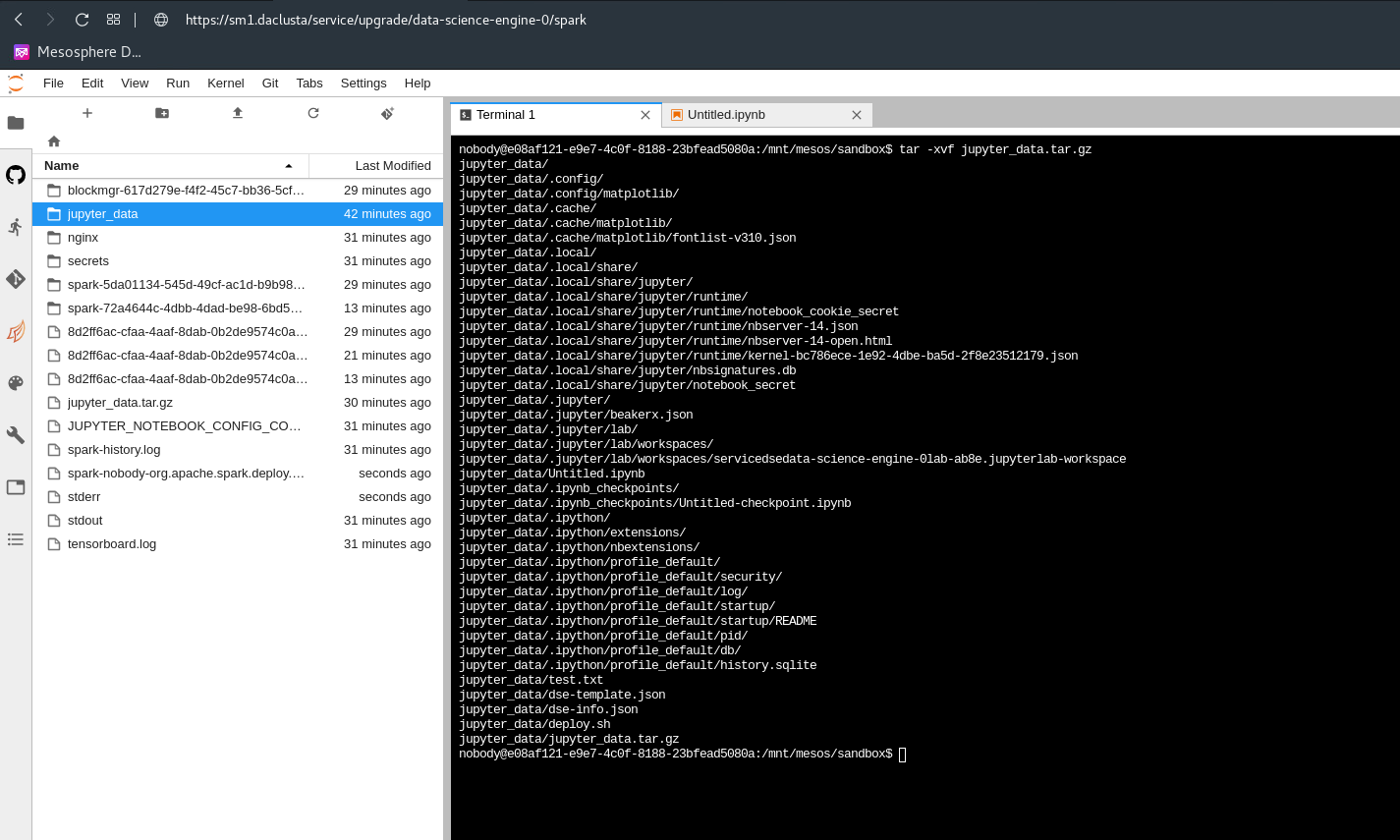 DC/OS Data Science Engine Notebook Unzip