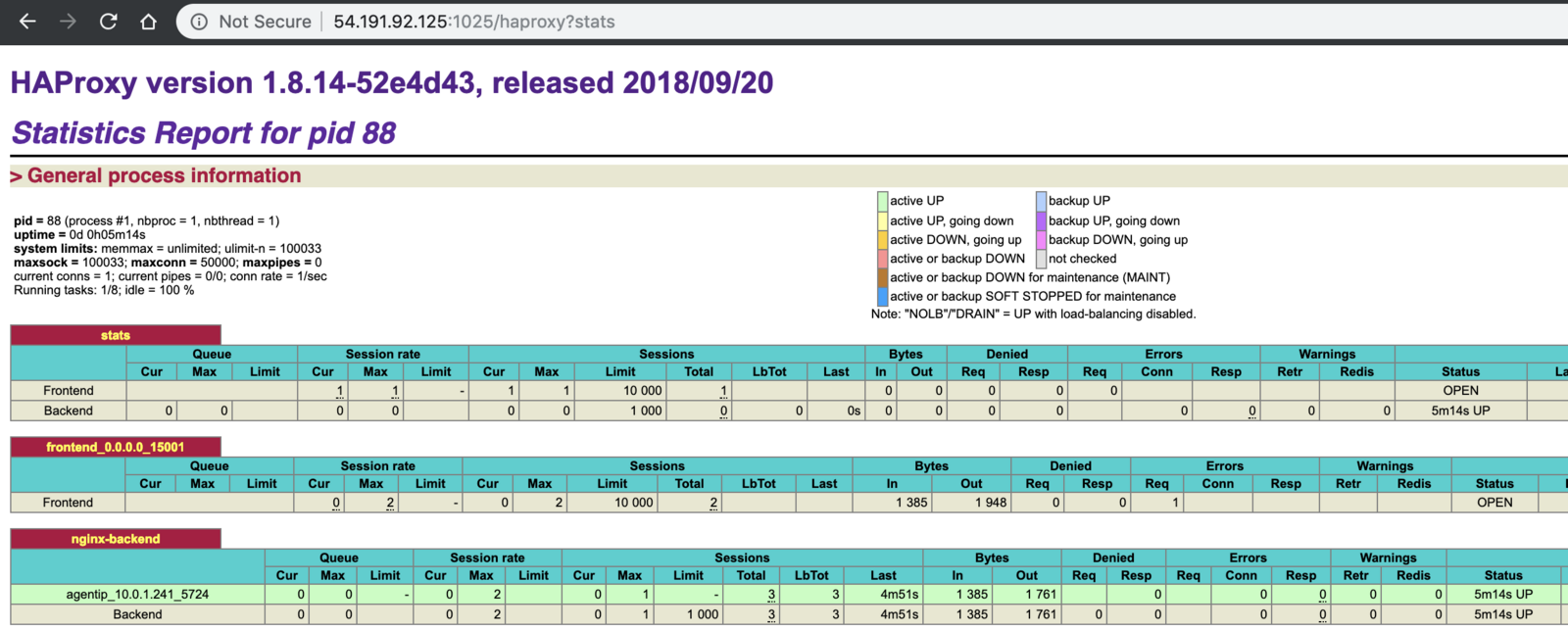 Statistics for a service exposed using Marathon-LB