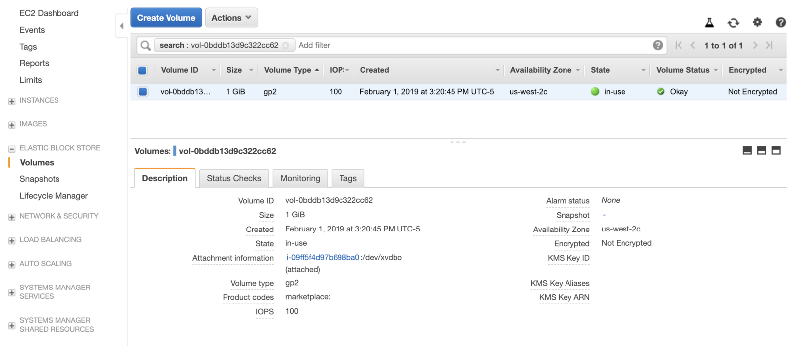 Screenshot of AWS EBS from above "in-use".