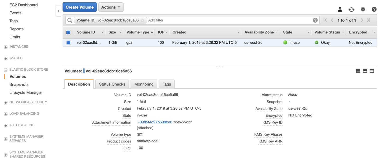 Screenshot of AWS EBS from above "in-use".